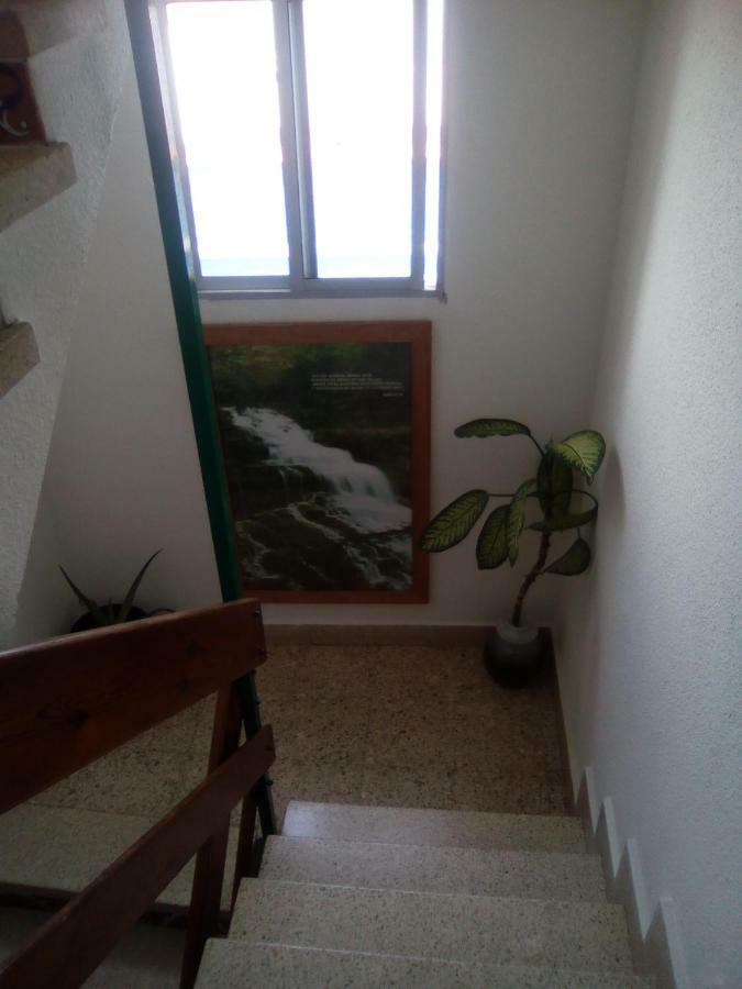 8 Calle Tangara La Gloria Santa Cruz de Tenerife Dış mekan fotoğraf